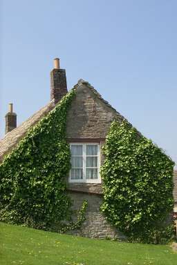 Picture of a cottage in Corfe Castle