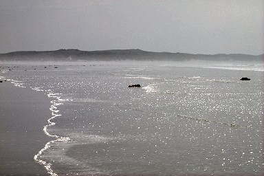 Picture of the sun reflecting in the shallow water at a beach
