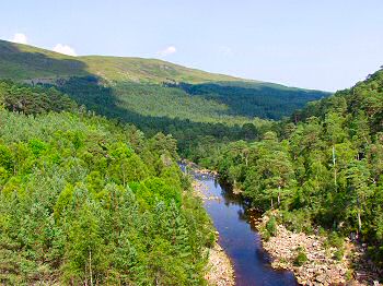 Picture of River Affric