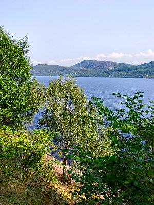 Picture of Loch Ness