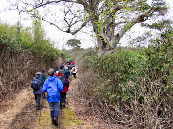 Picture of walkers in the woods near Loch Skerrols
