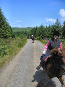 Picture of a view back from a galloping horse