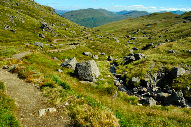 Picture of a path through a glen