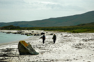 Picture of walkers on a beach