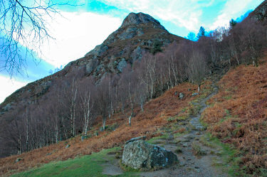 Picture of a path up a hill