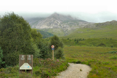 Picture of a track leading to a mountain