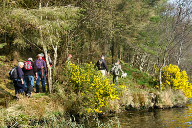 Picture of walkers walking along a loch (lake)