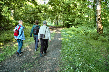 Picture of a couple with their daughter walking through woodland
