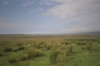 Hills around Loch Gorm